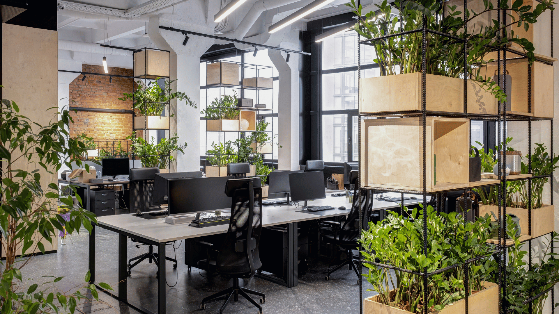 Brennende Glühbirne als Symbol für effizientes Ressourcenmanagement KeyLogic CAFM